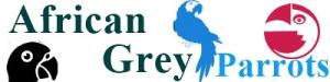 African Grey Parrots Inc